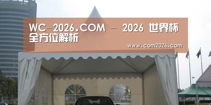 案例标题八