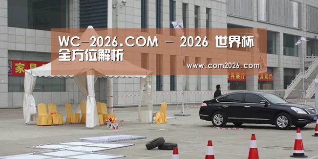 案例标题六