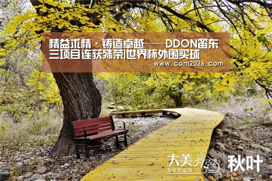 精益求精·铸造卓越——DDON笛东三项目连获殊荣|世界杯外围买球