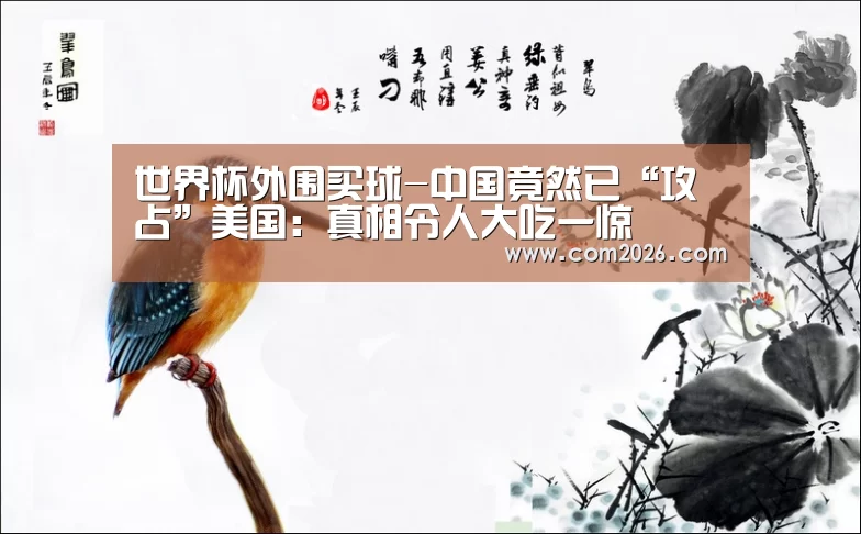 世界杯外围买球-中国竟然已“攻占”美国:真相令人大吃一惊
