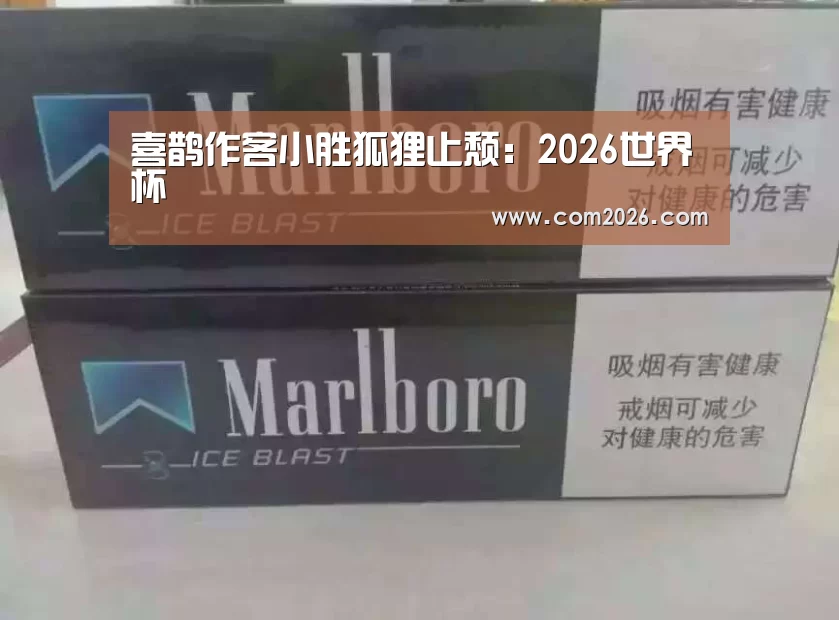 喜鹊作客小胜狐狸止颓：2026世界杯
