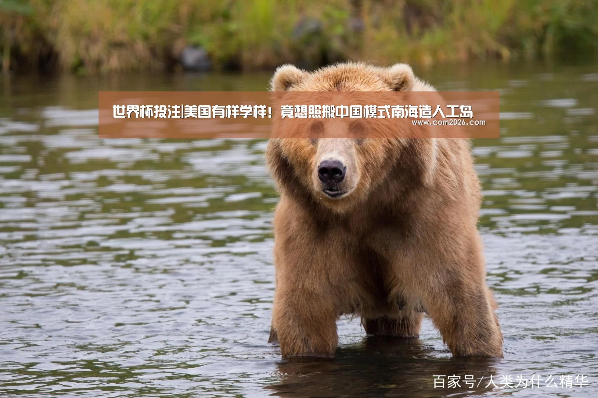 2026世界杯